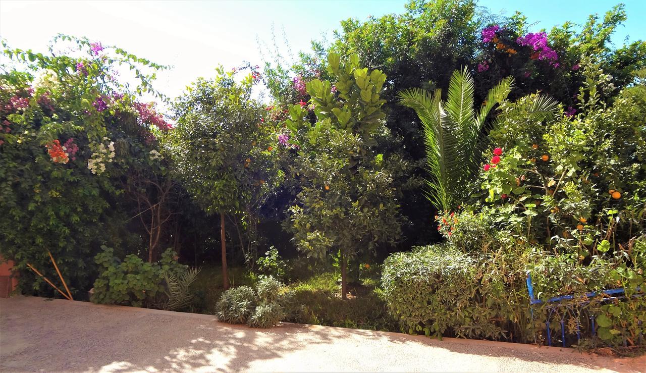 Surf & Yoga Paradise Morocco Hostel ทัมรักท์ โอ เฟลลา ภายนอก รูปภาพ