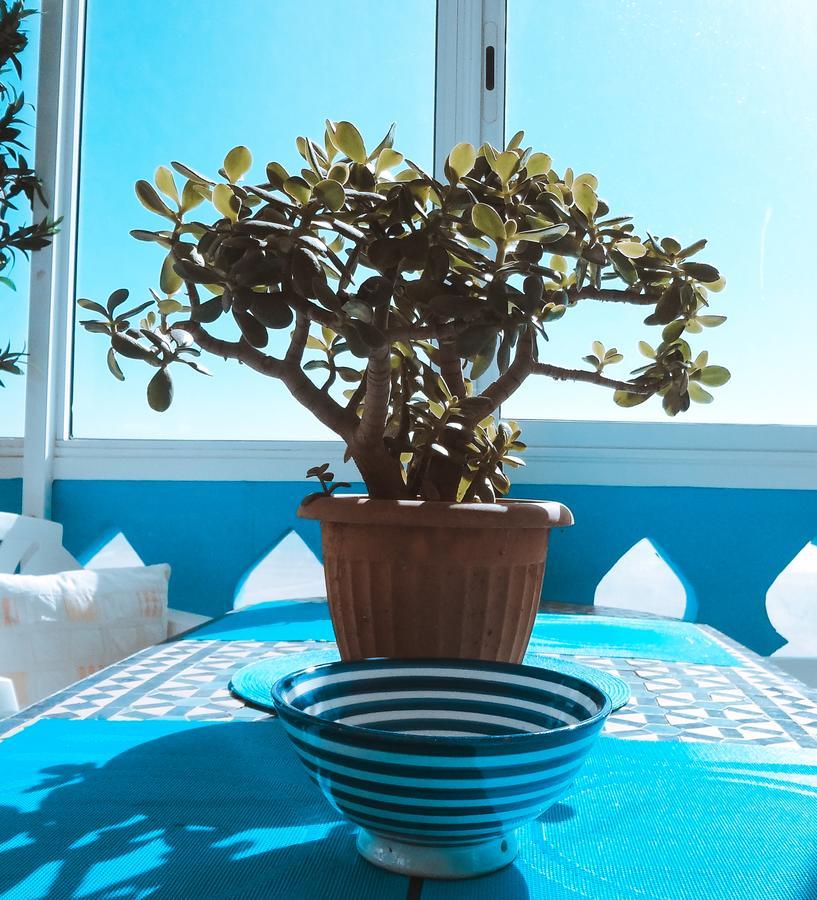 Surf & Yoga Paradise Morocco Hostel ทัมรักท์ โอ เฟลลา ภายนอก รูปภาพ