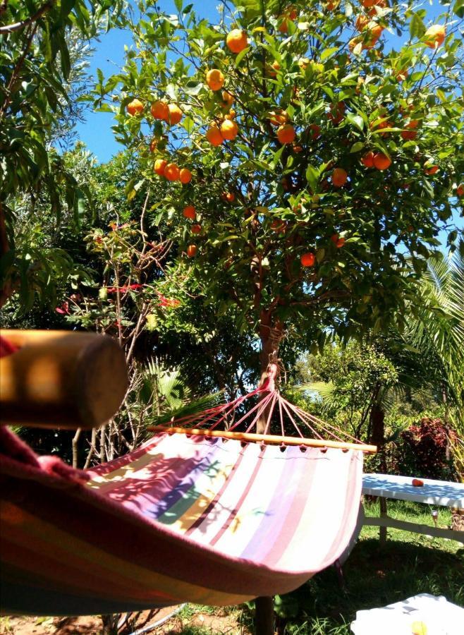 Surf & Yoga Paradise Morocco Hostel ทัมรักท์ โอ เฟลลา ภายนอก รูปภาพ